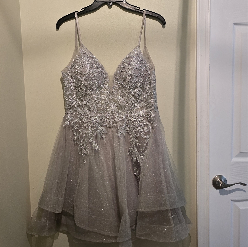 Elegant Silver Lace Tulle Dress - Picture 4 of 4